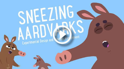 Episode 5 - Sneezing Aardvarks